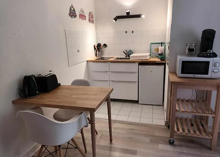 212 Au Coeur Du Campus De Belle Beille *